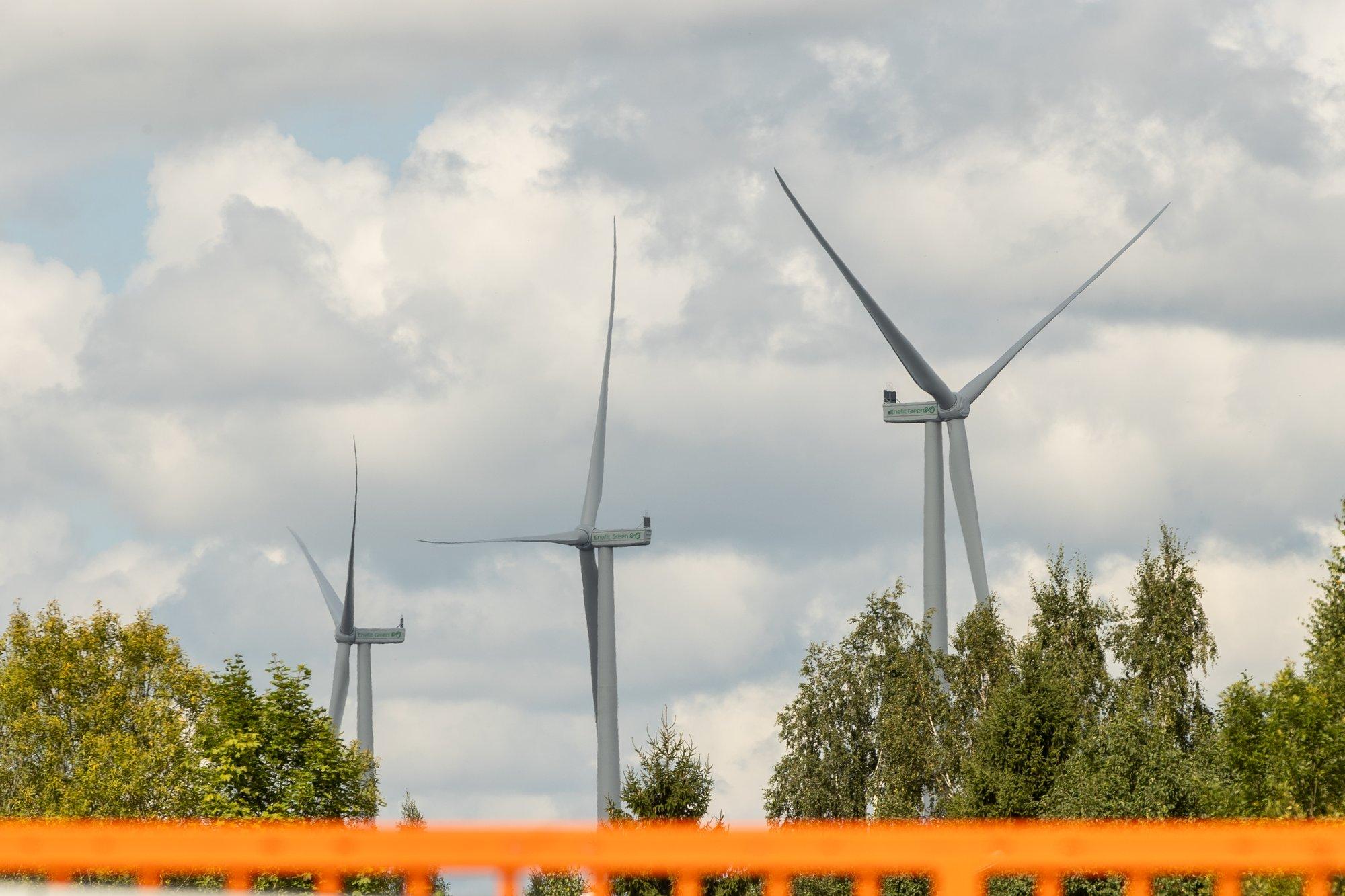 Alevi elanikud lootsid tuulepargi kõrval elades tasuta elektrit ja pettusid. Mida inimestele tegelikult lubati?