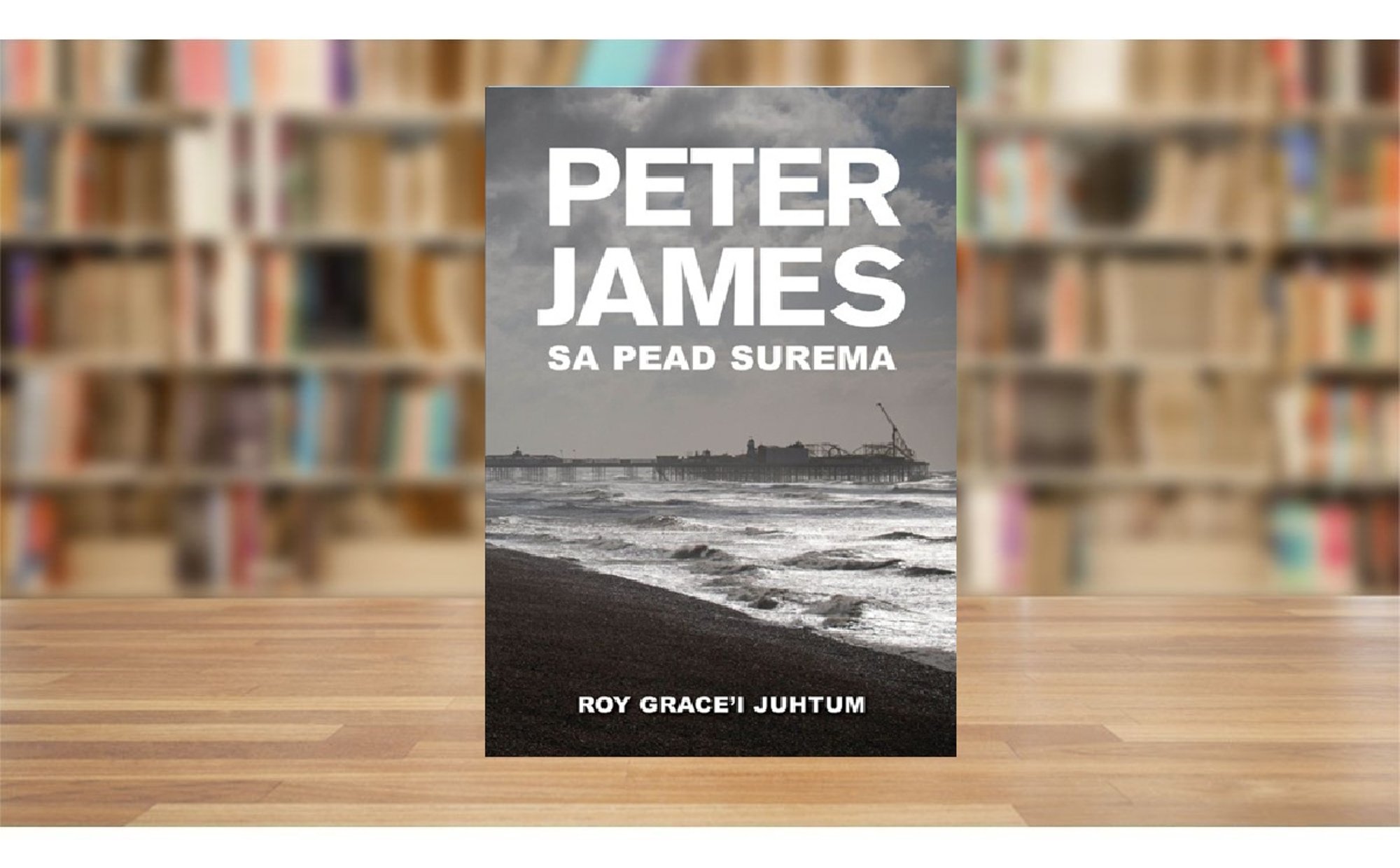 RAAMATUBLOGI: Komissar Grace’i maailm imeb lugeja täiega endasse