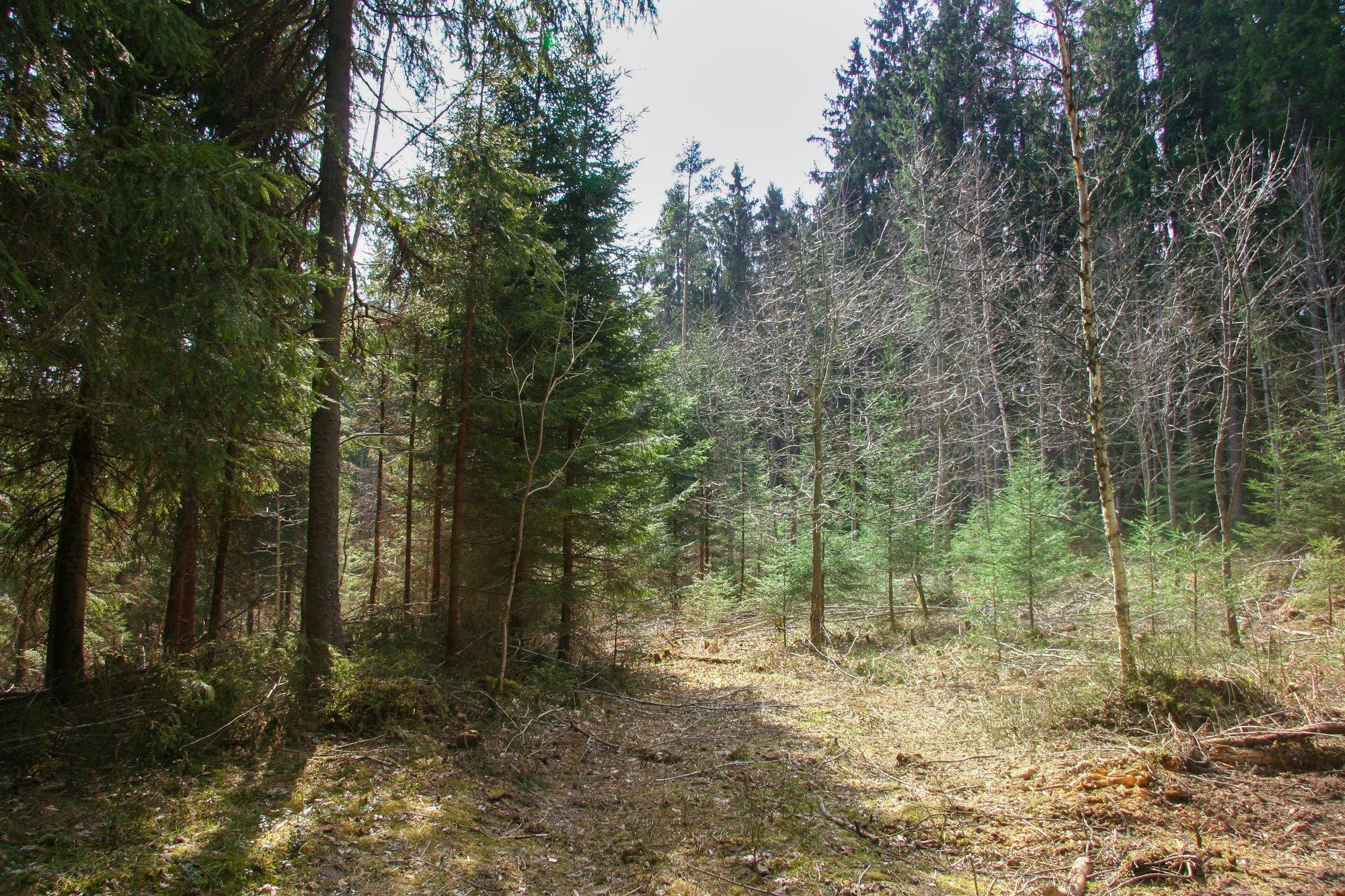 Tark metsastamine loob väärtust kogu ühiskonnale