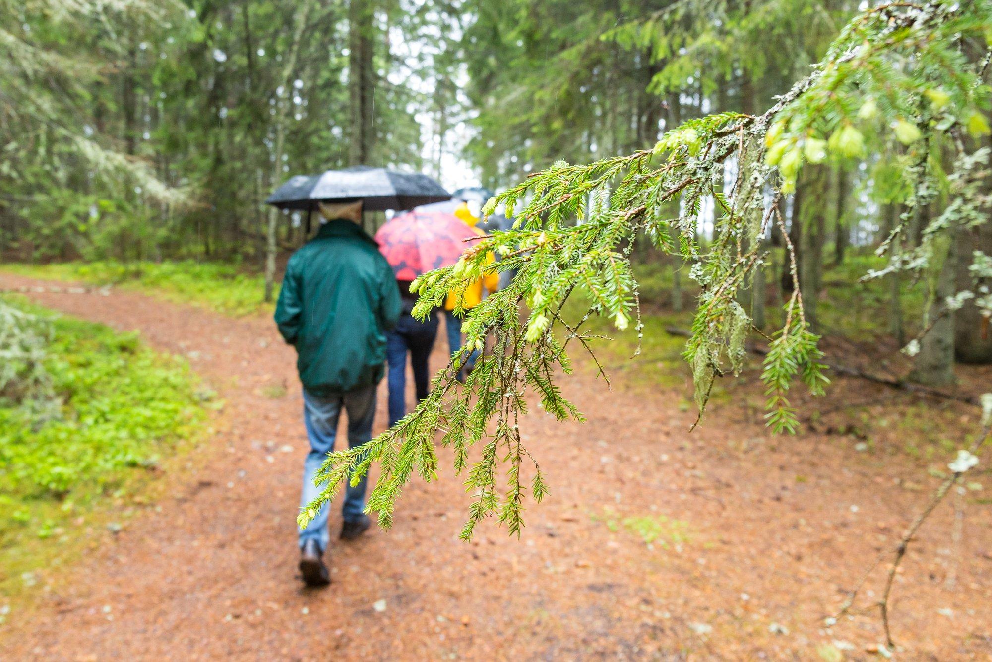 RMK uuendab kaasamise korda riigimetsas asuvatel kogukonnaaladel