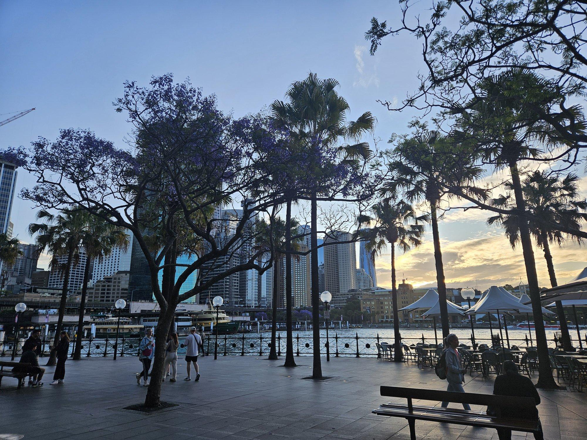 REISIKIRI | „Eestist? Elagu Eurovision.“ Maakera kuklapoolel võeti mind soojalt vastu