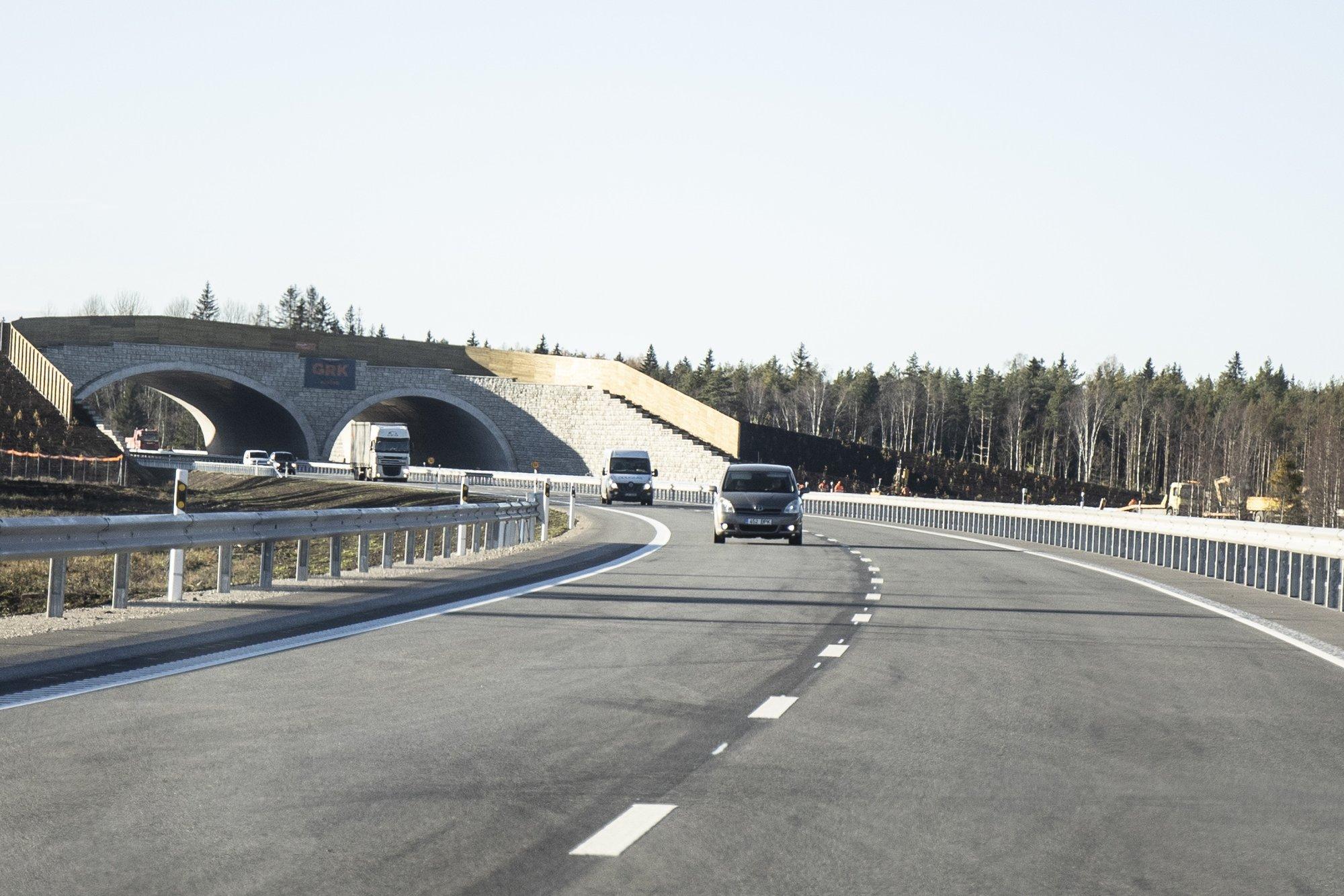 FOTO | Järvamaal hukkus avariis haruldane metsloom