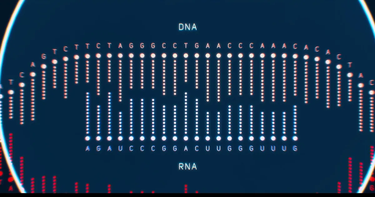 Mati Karelson, Sigrid Selberg ⟩ Uue ajastu meditsiin otsib lahendusi vananevale ühiskonnale