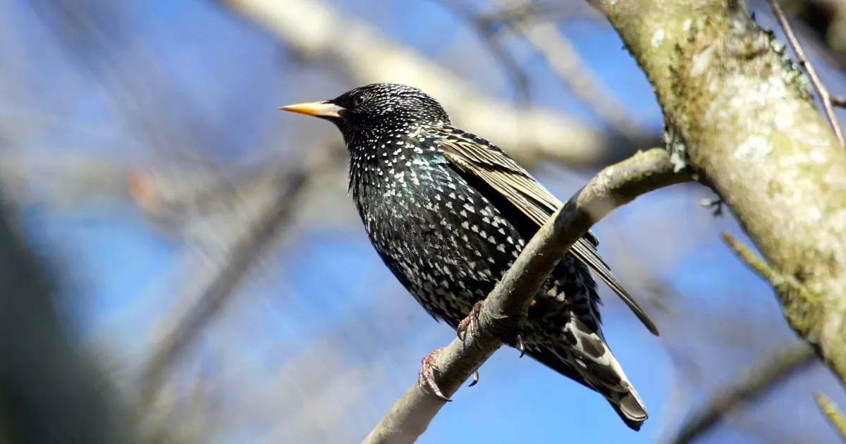 Neljapäeval tuleb kuni 18 kraadi sooja ja paistab päike