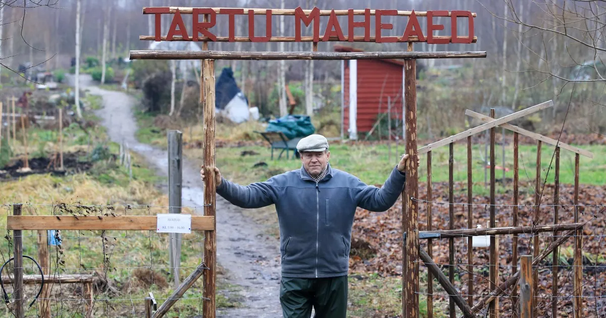 Tartu maheaed jagab huvilistele aiamaid