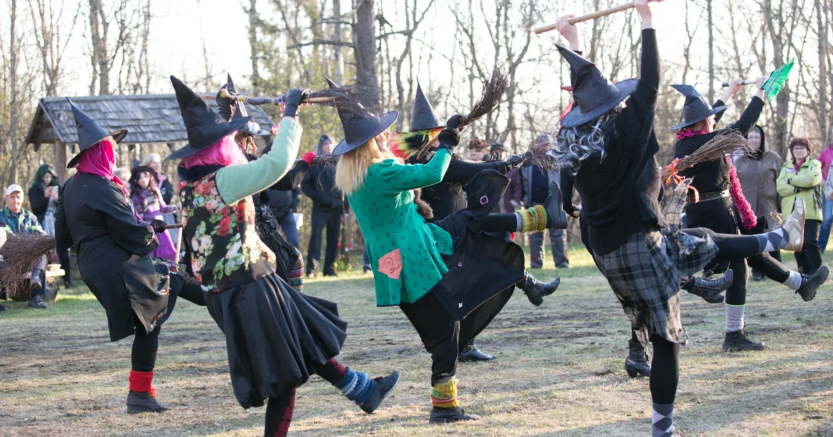 Folklooriakadeemik Mare Kõiva: nõiapeole lendajad võisid kasutada hallutsinogeene