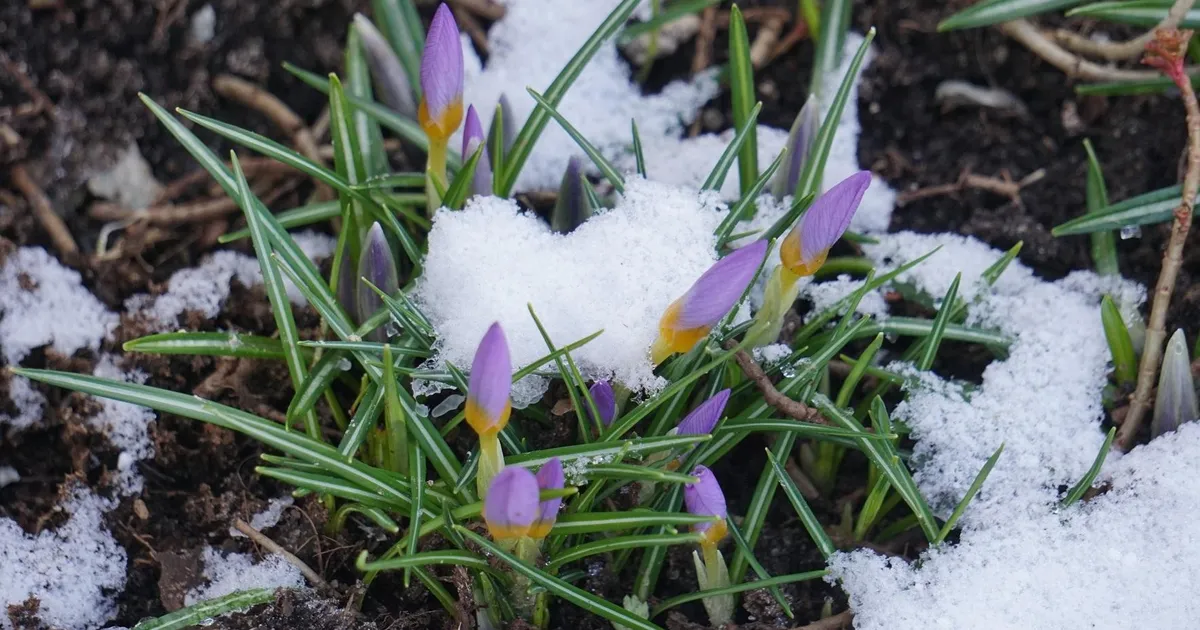 Pühapäev tuleb ilmaprognoosi järgi sajuta