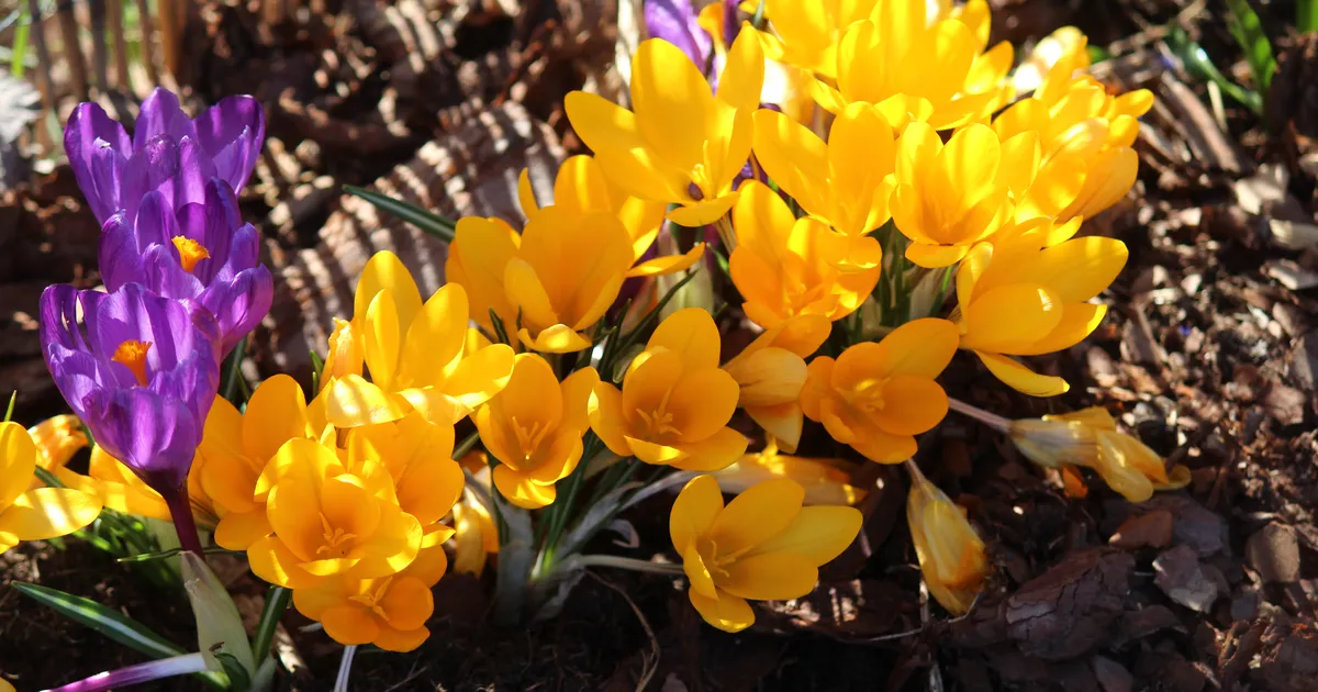 Kolmapäeval tuleb kuni 17 kraadi sooja