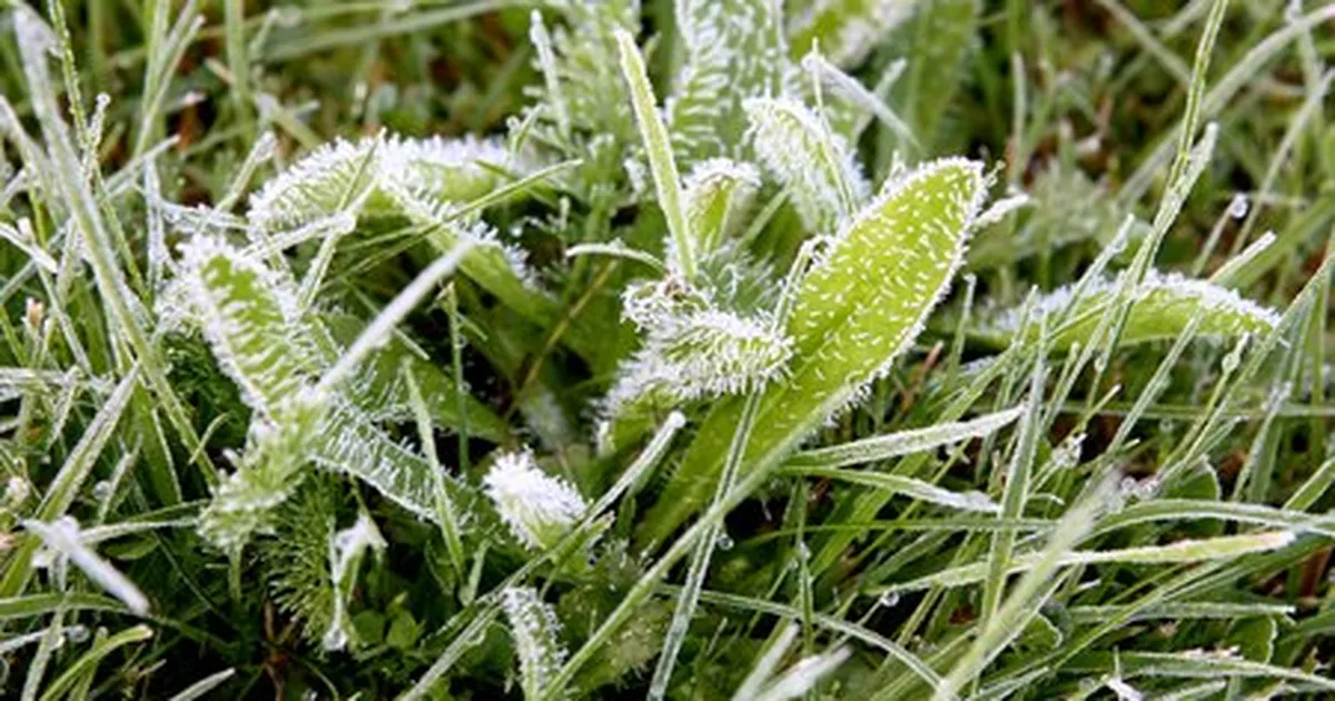 Sünoptik: mai alguses suurt sooja loota ei ole