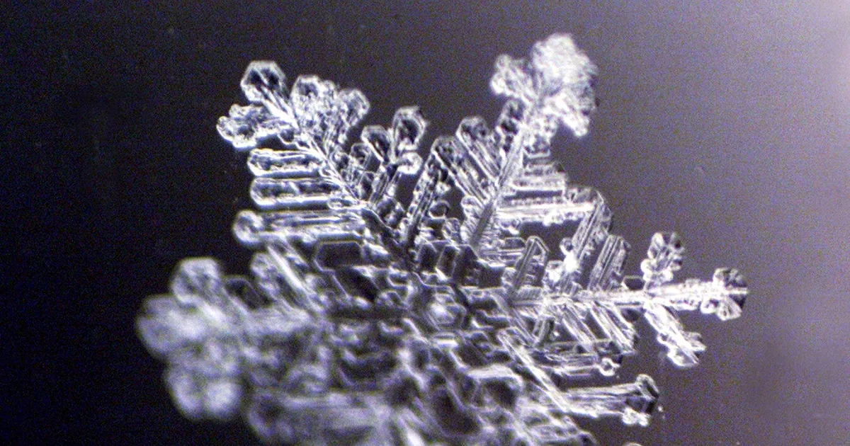 Kevad tõmbub tagasi: lähipäevil tuleb kuni kuus kraadi külma