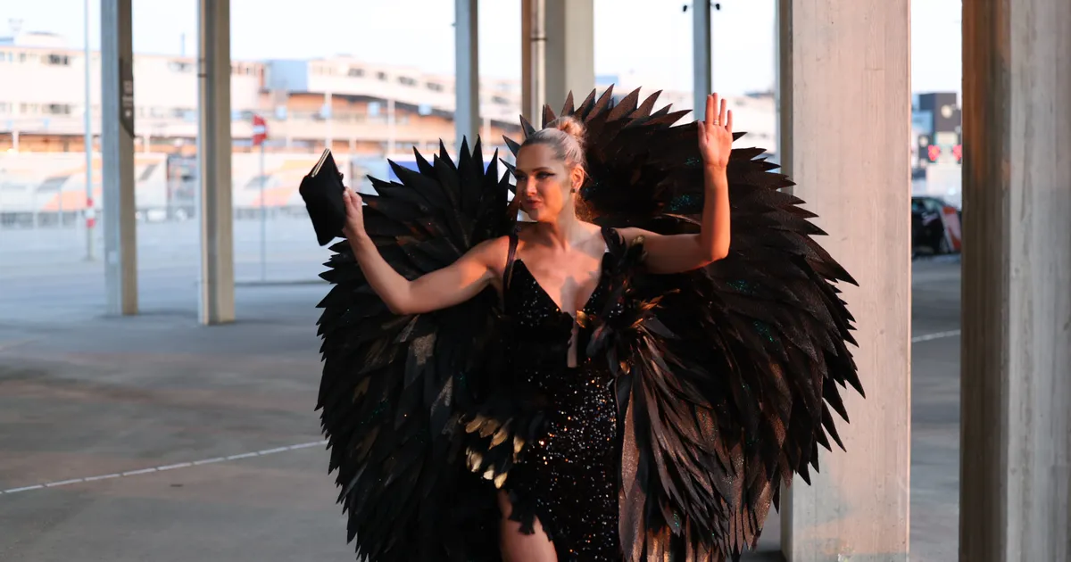 RÄÄGIB SUU PUHTAKS ⟩ «Mul ei olnud julgust ega aega enne üles tunnistada!» BSH võttis advokaadibüroo jõulupeol pudeli varguse omaks