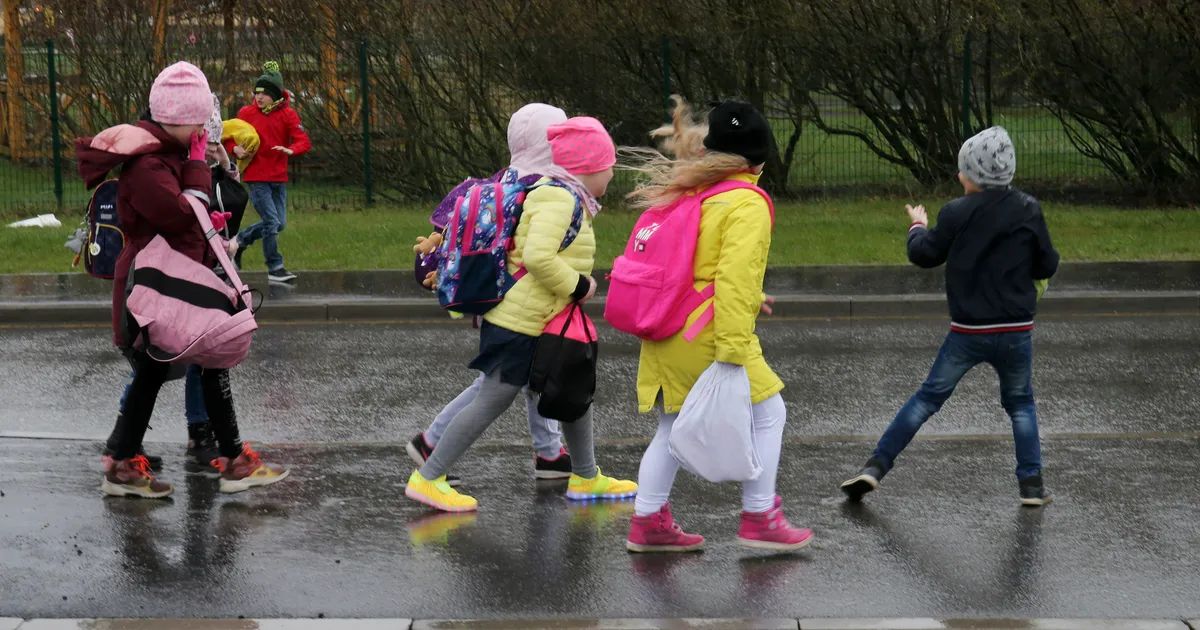 Alar Raassild ⟩ Iibe langus on sümptom, mitte haigus ise