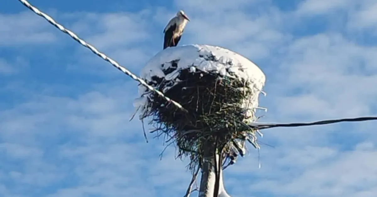 Kolmapäeval tuleb kuni 21 kraadi sooja