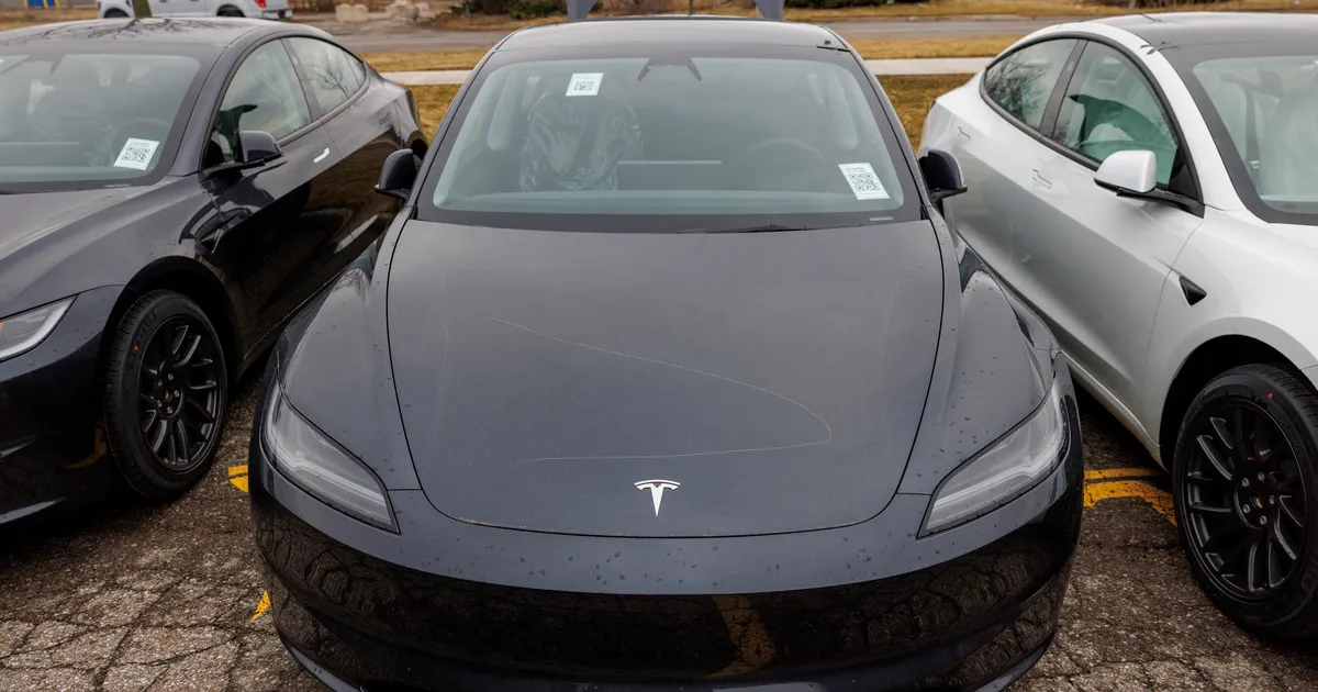 Priit Tammeraid ⟩ Teele asemel Tesla: riiklik roheunistus Paunvere tagahoovis