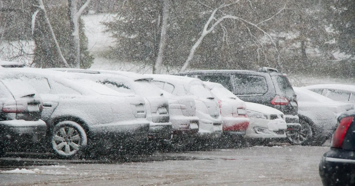 Reedel tuleb kuni üheksa kraadi sooja