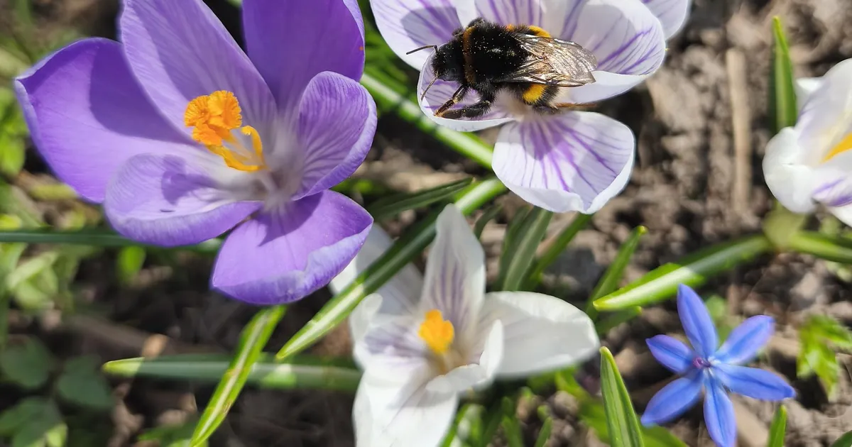 Keskkonnaagentuur lubab tuleval nädalal kuni 20 soojakraadi