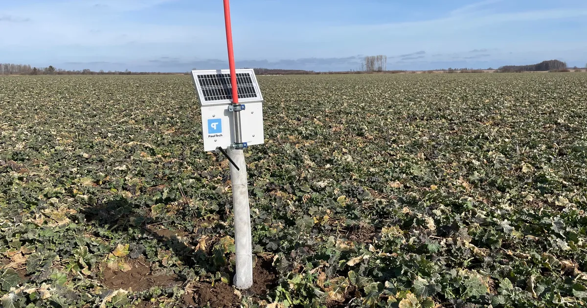 Põllujaam: Märtsi ilm säästis põllutaimi