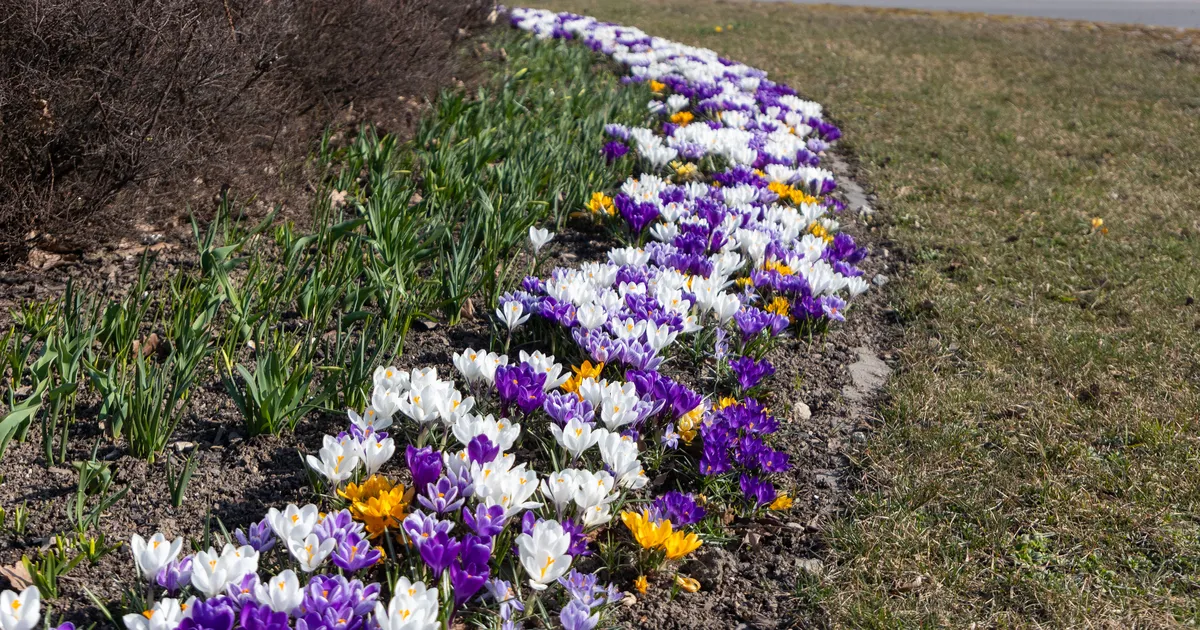 Kolmapäeval tuleb kuni viis kraadi sooja