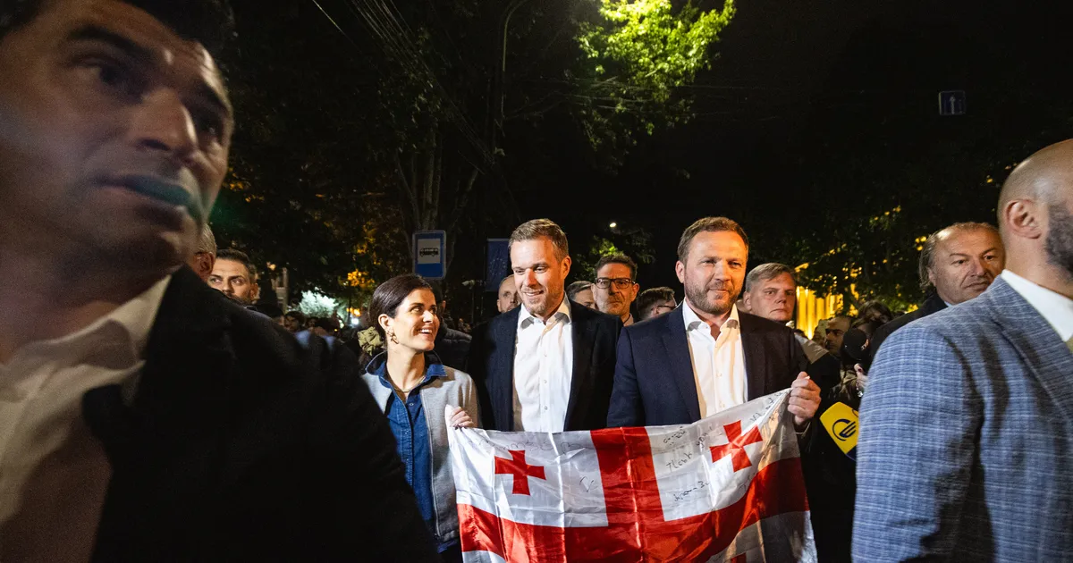 Valitsus plaanib kehtestada viisanõude Gruusia diplomaatidele