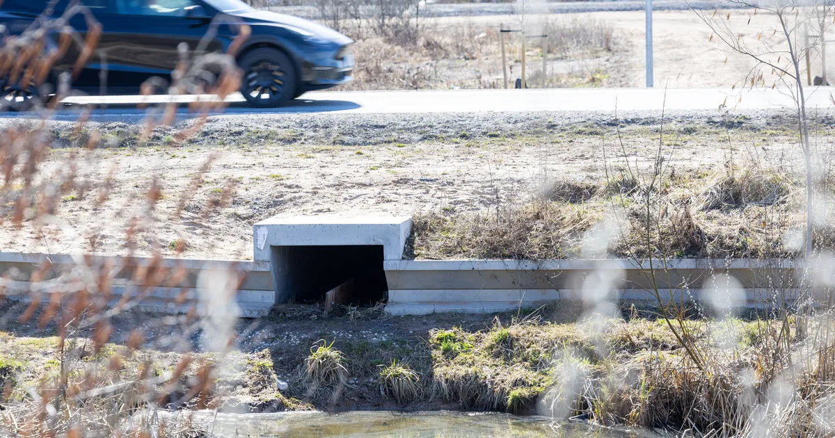 GALERII ⟩ Rändavate konnade elusid säästavad tunnelid ja vabatahtlikud