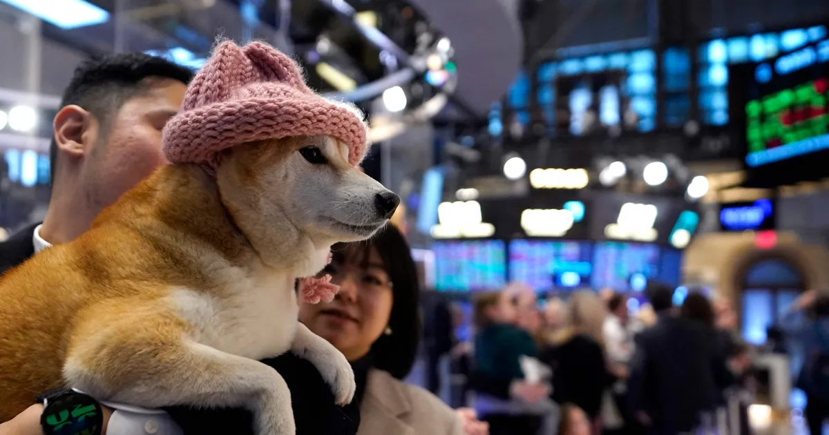 ekspert ⟩ Kuulsuste krüptorahadesse investeerijad riskivad kõigest ilma jäämisega