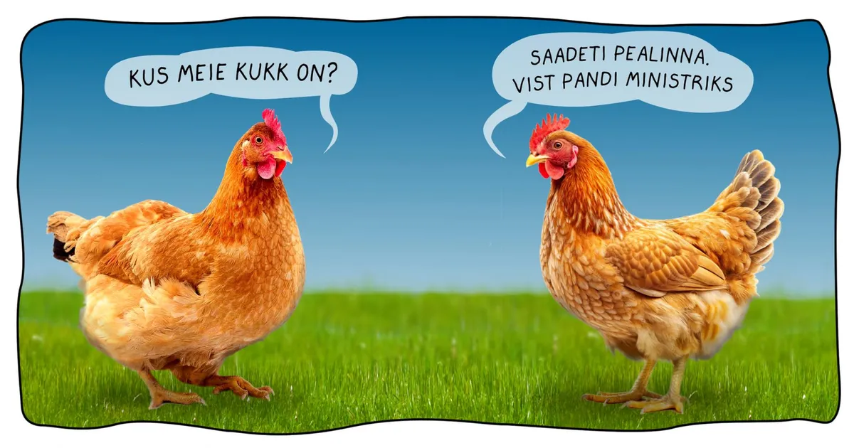 Juurikas. Allan Hmelnitski joonistus