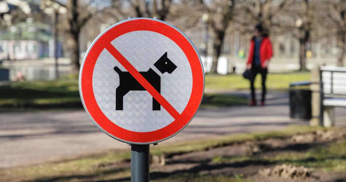 MIKS KÜLL? ⟩ Koerad pole Kadrioru pargi kõige kaunimasse osasse lubatud