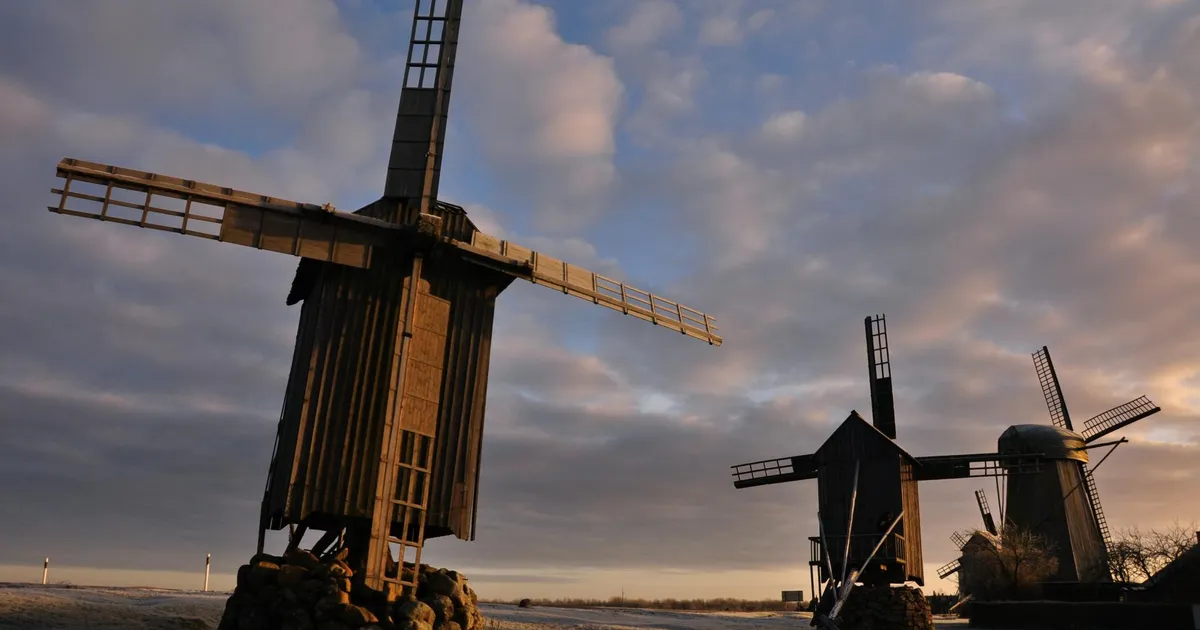 Jüri Kuuskemaa ⟩ Viljaveskitest tülituulikuteni