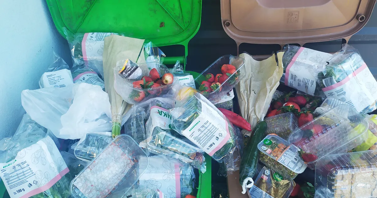 Naine, kes loobus kümme aastat tagasi täielikult rahast: see on alles tõeline rikkus