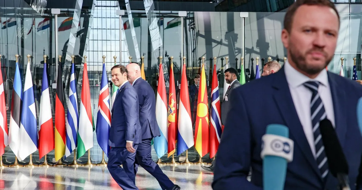 POSTIMEES NATOS ⟩ Rubio: sotsiaalsüsteemide kõrval läheb vaja kõva jõudu