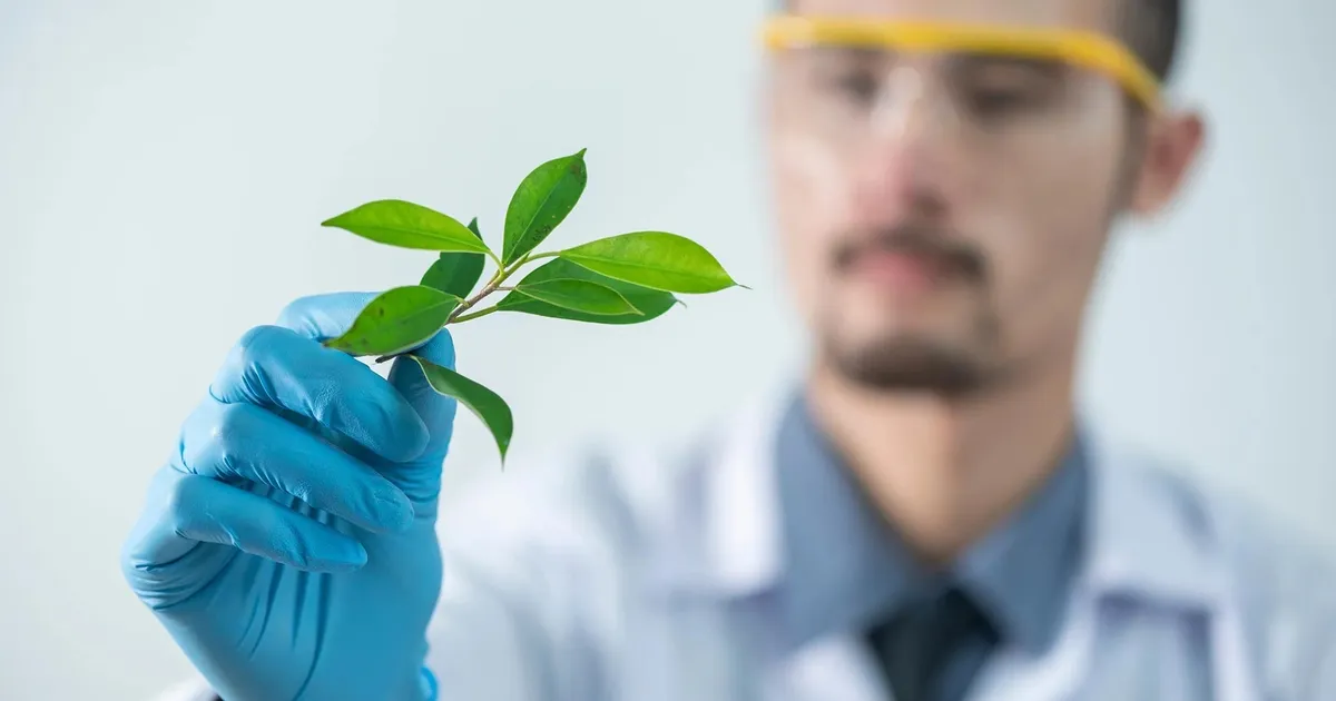 Üliõpilased: ravimid on kallid ja nüüd me hakkasime neid ise tegema – taimede abil