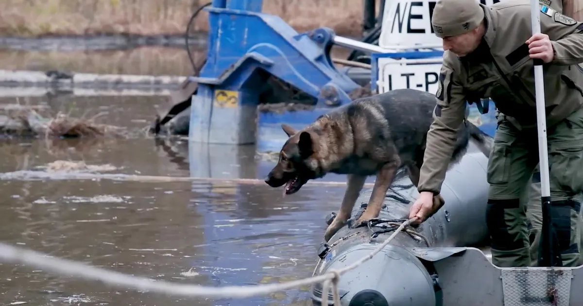 NÄDALA NÄGU ⟩ Maik ja tema nina ei vedanud alt