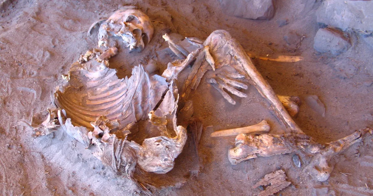 PÕNEV! ⟩ Sahara kõrbe hiljutine avastus võib Aafrika ajaloo ümber kirjutada