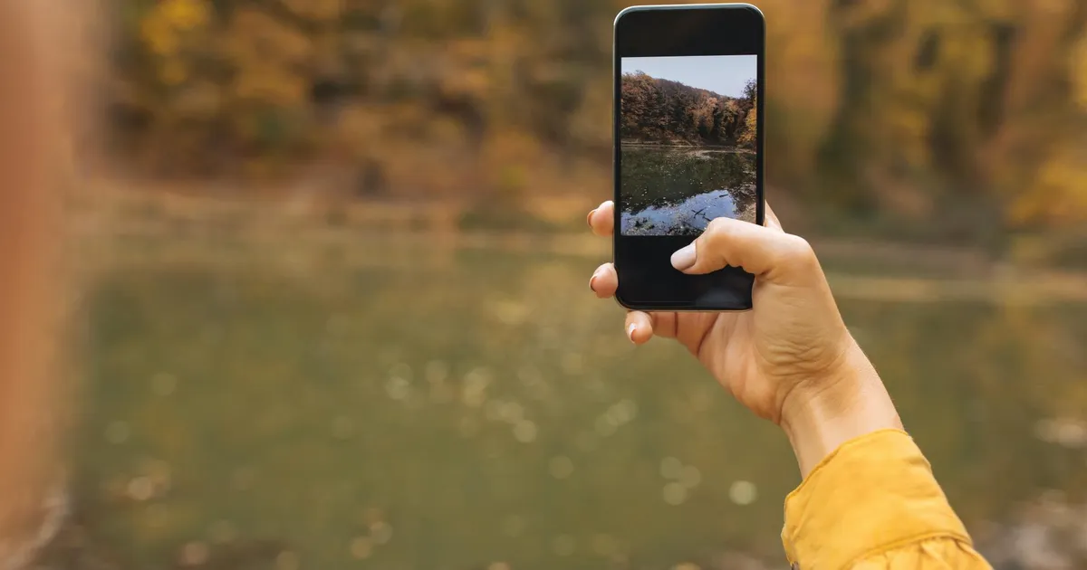 Pildistamishullusest ⟩ Kas põdral olid sarved või ei olnud?