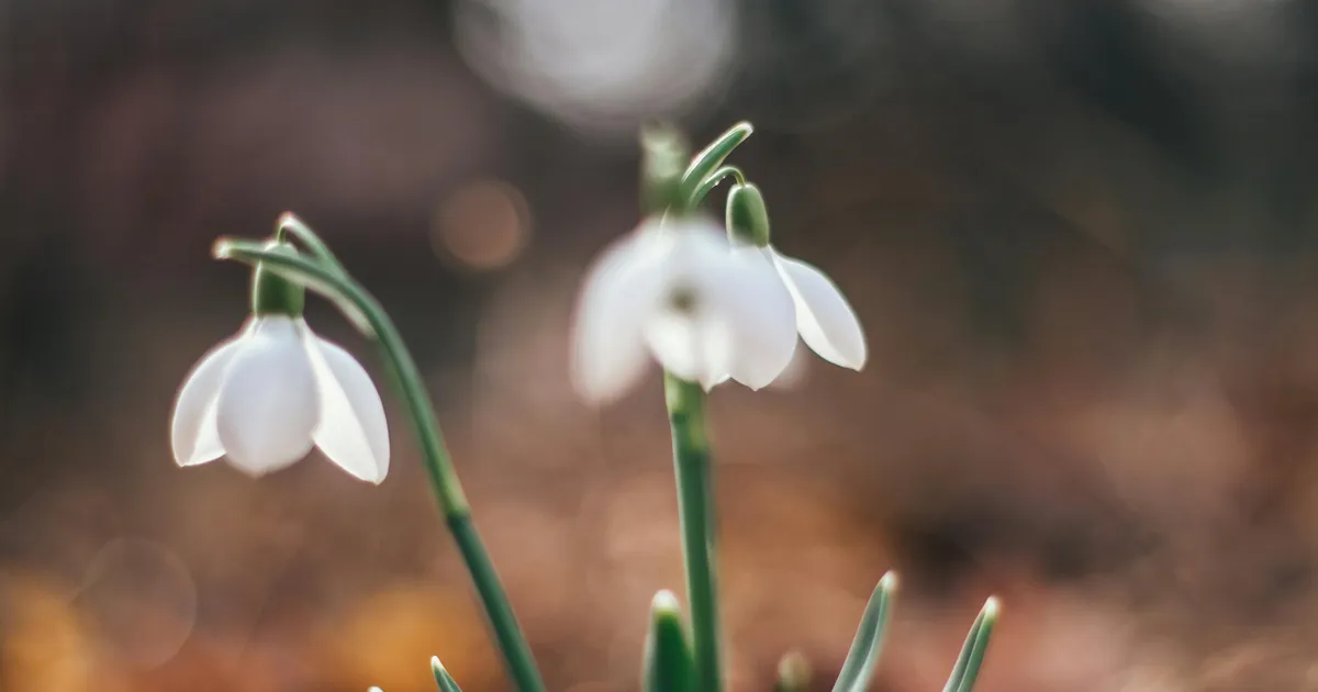 NÄDALAHOROSKOOP ⟩ Kalad võivad sattuda kriitikalaine alla, Skorpioni süda tahab ajutiselt sulguda