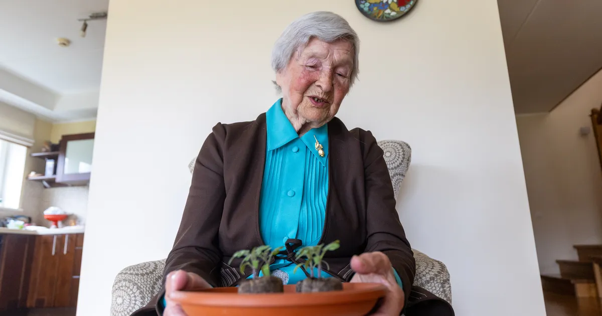 Saja-aastane Helgi Lomp õpetab väimehele taimekasvatust ja võtab ette pikki jalutuskäike