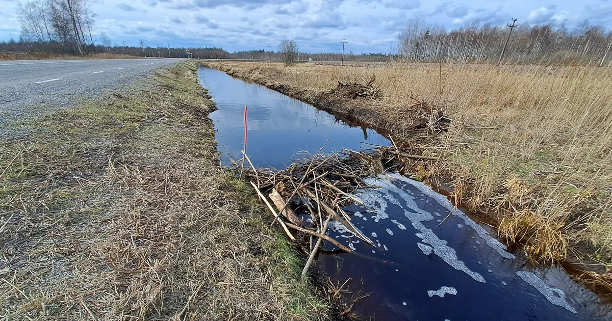 VIDEO ⟩ Kobrastel näib olevat Võrumaa uue riigikaitselise teega mingi plaan