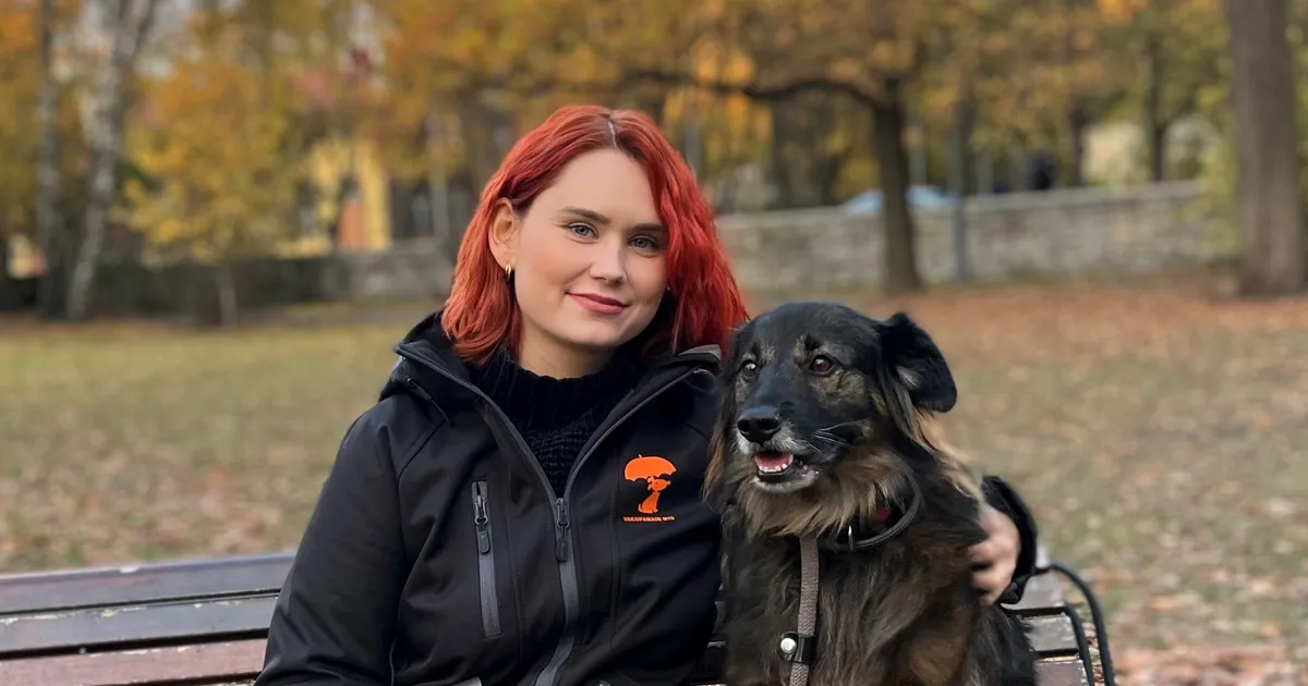 Varjupaikade MTÜ esindaja: tihti pöördutakse abi saamiseks alles siis, kui kasside hulk läheb üle käte