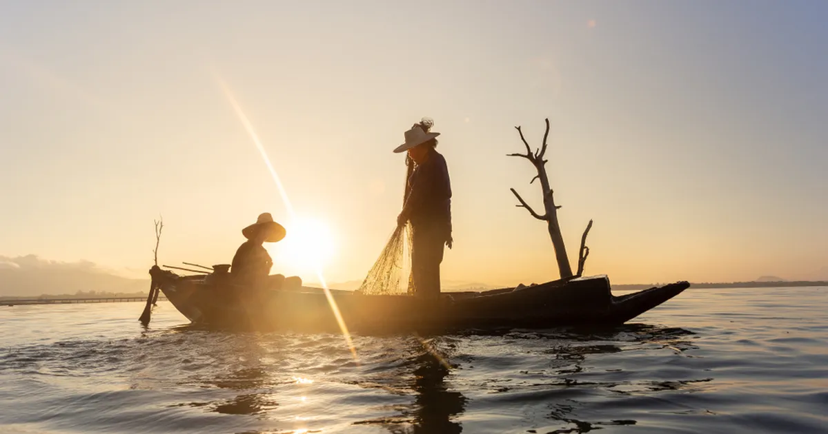 VIDEO ⟩ Põnev! Vaata, kui osavalt püütakse Hiinas kala, kasutades iidset tehnikat, kus appi võetakse ootamatu tegelane