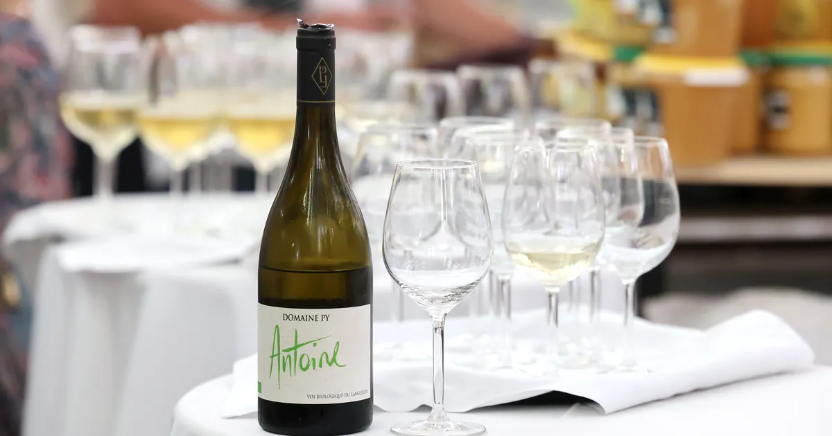 Toidu- ja veinifestival ootab tänavatoidu pakkujaid