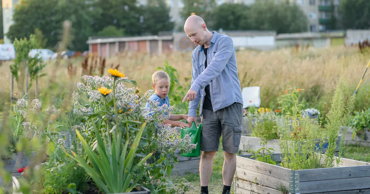 Tallinn toetab rahaliselt kogukonna- ja õppeaedu
