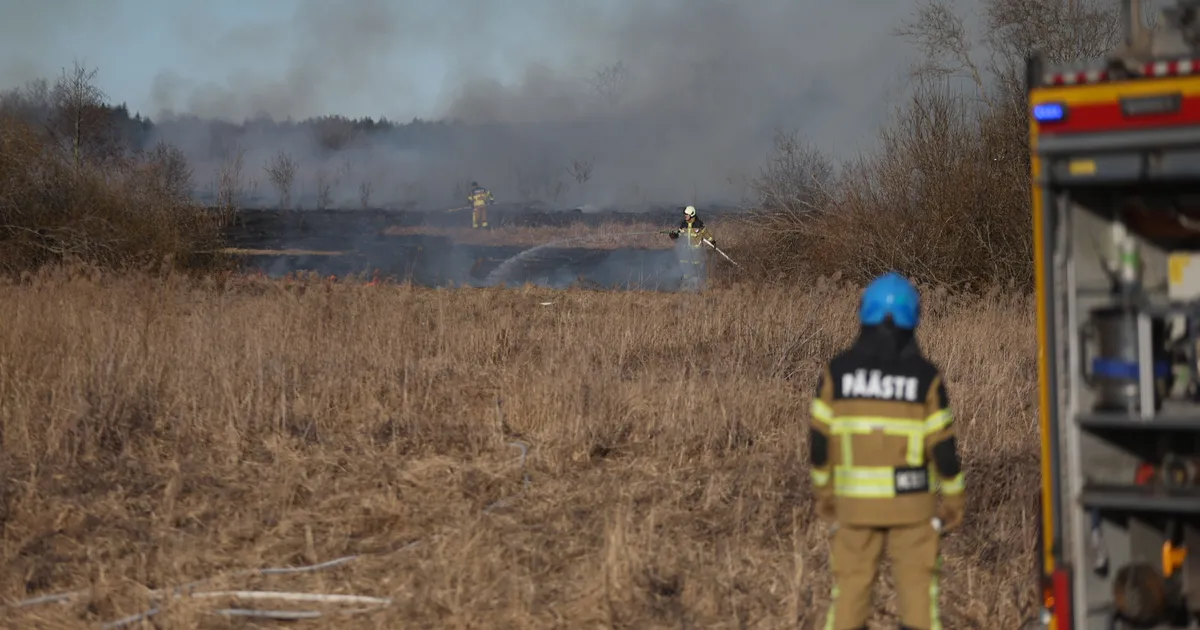 FOTOD JA VIDEO ⟩ Rae vallas süttis maastik
