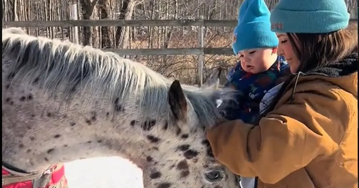 VIDEO ⟩ Hobune paljastas ootamatult saladuse, mida naine veel isegi ei teadnud