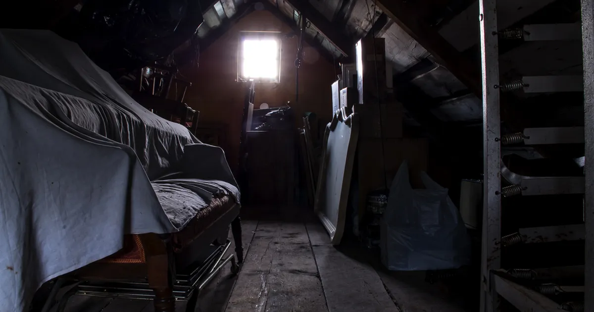 Pööningul kahtlaseid helisid kuulnud naine tegi õõvastava avastuse: ma teadsin, et midagi on valesti!