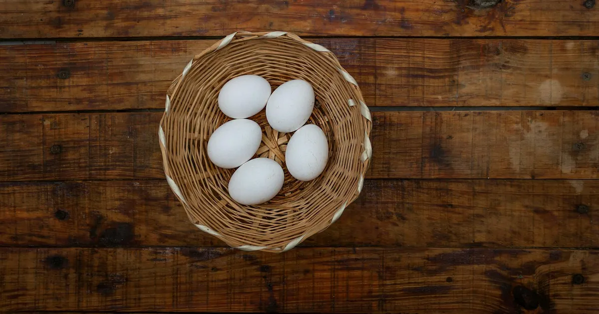 NEW SCIENTIST ⟩ Jabur! Tuleviku aknad võivad olla tehtud munavalgega kaetud puidust