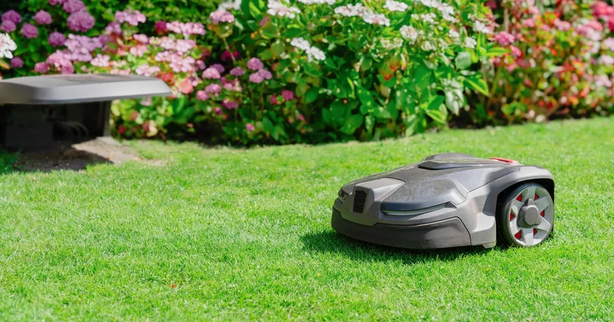 Neli lihtsat sammu, mis teevad muru suveks täiuslikuks