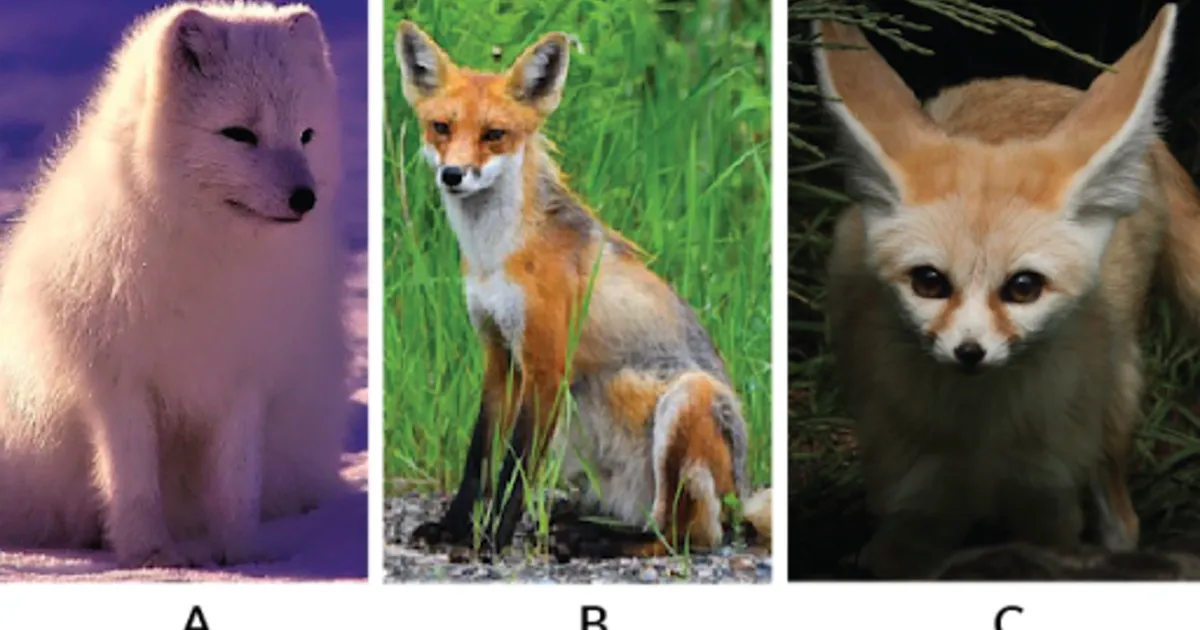 MAIT RUNGI ⟩ Loodus on meid kõiki ühte nägu kujundanud