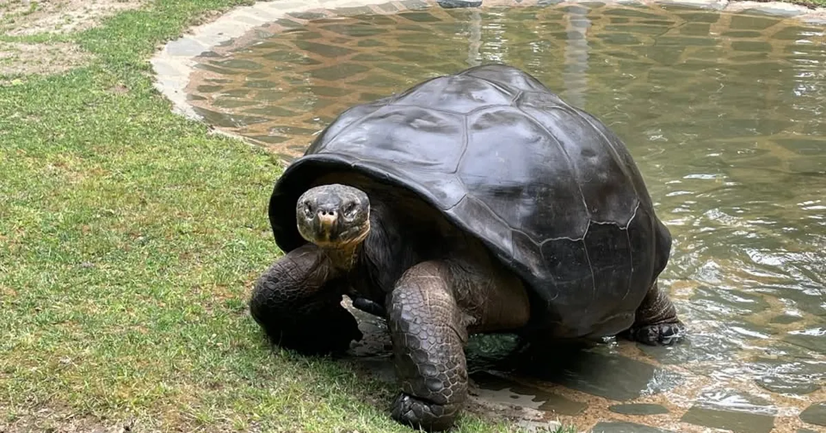 Vaata videot ⟩ See tegelane sai saja aastaselt esimest korda emaks