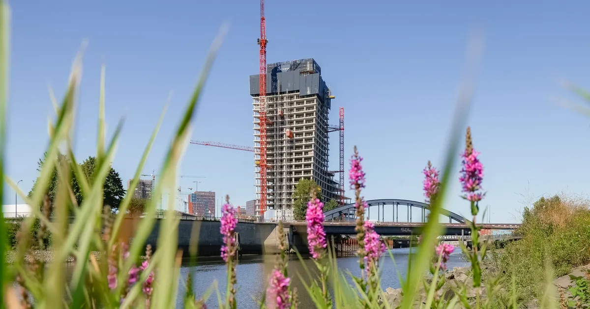 kobarkäkk ⟩ «Lühikesest Olafist» pidi saama Hamburgi sümbol – nüüd on see linna hirmkallis häbiplekk