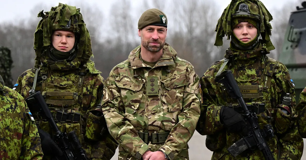 POLITICO ⟩ Brüsselis vaagitakse Balti riikide sõdurite osalust Ukraina rahuvalvemissioonis